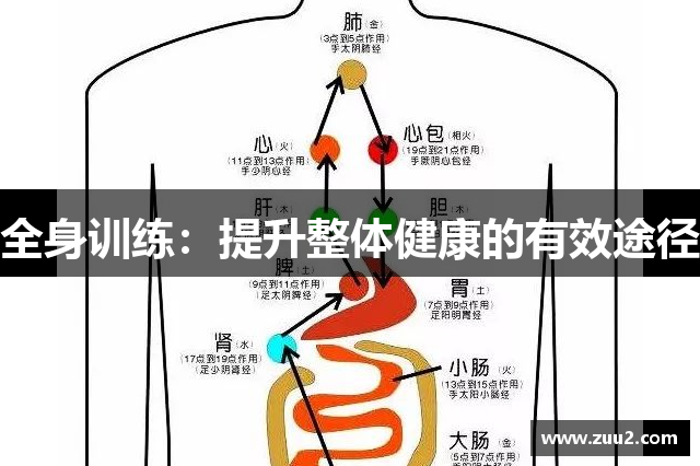 全身训练：提升整体健康的有效途径